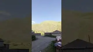 С шиназ
