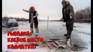 Рыбалка  Клевое место Камчатка!