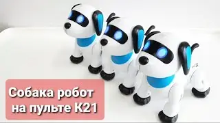 Танцующая собачка на пульте управлении К21. Обзор!