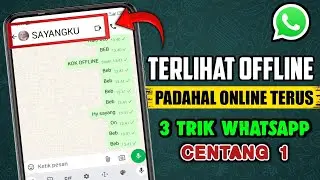 3 Ways Whatsapp Looks OFFLINE Even Though It's ONLINE - Latest WA Tricks 2024