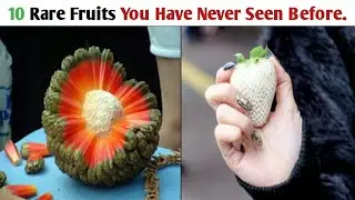 10 Rare Fruits You Have Never Seen Before| #Hawksinfo.