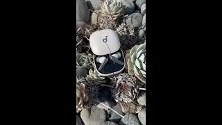 🎵 Liberty 4 Pro 🎵