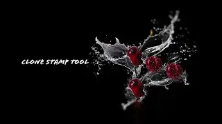 Clone Stamp Tool