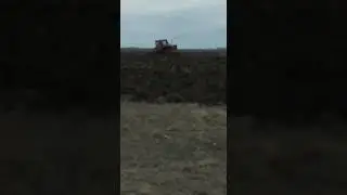 20 ноября 2021 г.