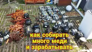 как собирать много меди каждый месяц и зарабатывать на этом большие деньги!?