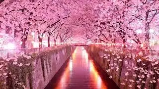 Japan - Dynamic Slideshow with music