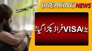 Big Visa Fraud Caught! Breaking News l Rohi News