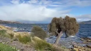 Tasmanian winter, June 2022