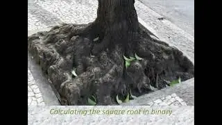 Calculating the square root in binary