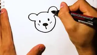 bear drawing