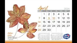 2024 Desk Calendar