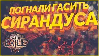 Новый билд PoE Path Of Exile 3.13 RItual Стрим ПоЕ