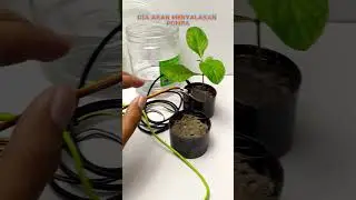 PROYEK ARDUINO SMARTGARDEN / SMARTFARMING IOT ( INTERNET OF THINGS ) #arduino #smartgarden #iot