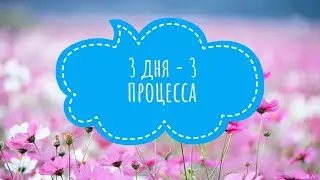 3 разных процесса за 3 дня.