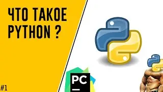 FAST PYTHON |1|Что такое Python | Как скачать | Где писать код |