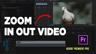 How To Zoom In Out - Adobe Premiere Pro Tutorial
