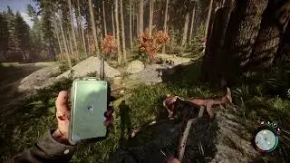Sons Of The Forest
