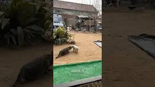 He tries to help, but she won't let him.