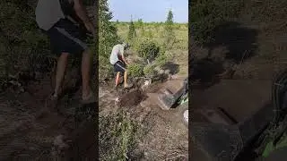 Ниваки перевалка