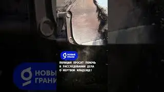 Полиция просит откликнуться всех, кто знает что-либо о младенце, найденном на свалке