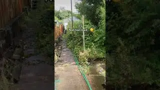 Some of the worse gardens we have had to fix up #webuyanyhouse #sellmyhousefast #markkingproperties