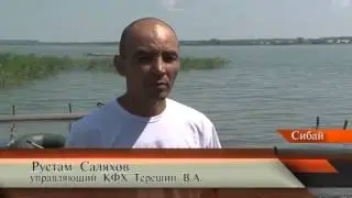 А где клюет?