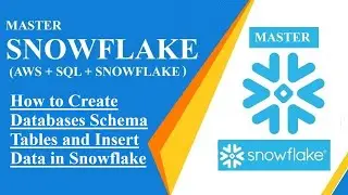 How to Create Databases Schema Tables and Insert Data in Snowflake, snowflake, master snowflake