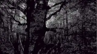 Koyaanisqatsi/Prophecies Philip Glass