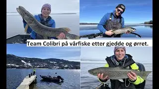 Team Colibri på vårfiske etter STOR ørret
