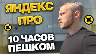 ЯНДЕКС ПРО ДОСТАВКА - 10 ЧАСОВ ПЕШКОМ. ЗАКАЗЫ И ЗАРАБОТОК!