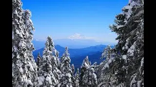 Обзор каналов.Выпуск 2.Коллаб с каналом