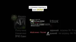 Барсук 😄стример сгорел