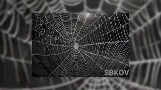 [FREE] Dark Synth Type Beat 2024 Trap  - 