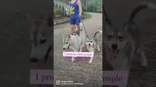 promise me, ok?   #short #youtubeshorts #animals #pets #petlover #dogs #pet #doglover #cute
