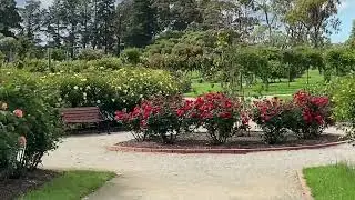 Rose Garden