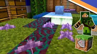 Surface Rules For Serenity Isles (Custom Space Dimension) - Talon's Oasis - Ep 153