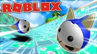 Roblox SUPER SONIC BALL RACE! - Roblox Super Blocky Ball