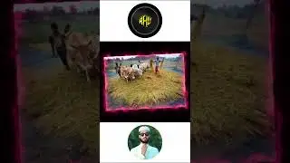 অতীতের সময়।
