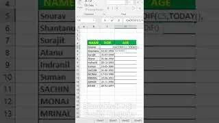 Age Calculation in Excel l Advance Excel Trick 10 #excel #advanceexcel #viral #viralfeeds #computer