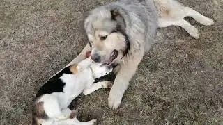 Любовь морковь🤗