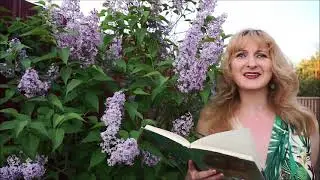 Sonnets Siennois | ARTE | Сиенские Сонеты