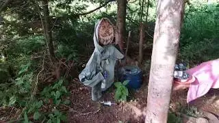 Мундыбаш 2019 год, Лето.