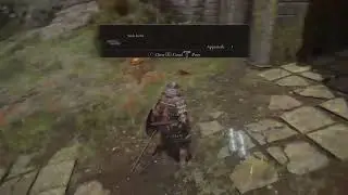 Elden Ring Funtimes 2