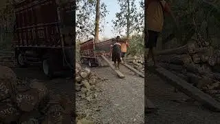 Load official teak wood in Indonesia 7 #woodworking #russia #america #korea #india #china