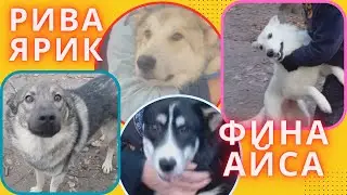 Как живут спасённые от гибели Наши новости