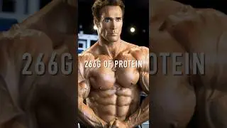 266g PROTEIN DIET