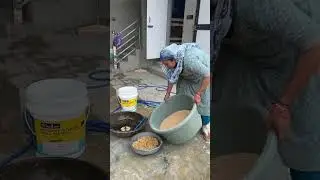 Aaj Garden Me Nye Paudhe Lagaye #minivlogs #dailyminivlogs #villagelife #palfamilyvlogs
