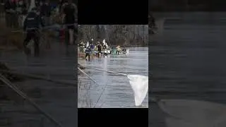 Мойва пошла в Вашингтоне