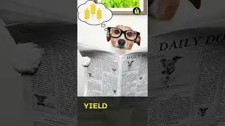 Yield Farming - Native Token Rewards Explained #shorts