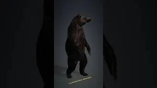 Bear animation #lumion #lumioneasy #shorts